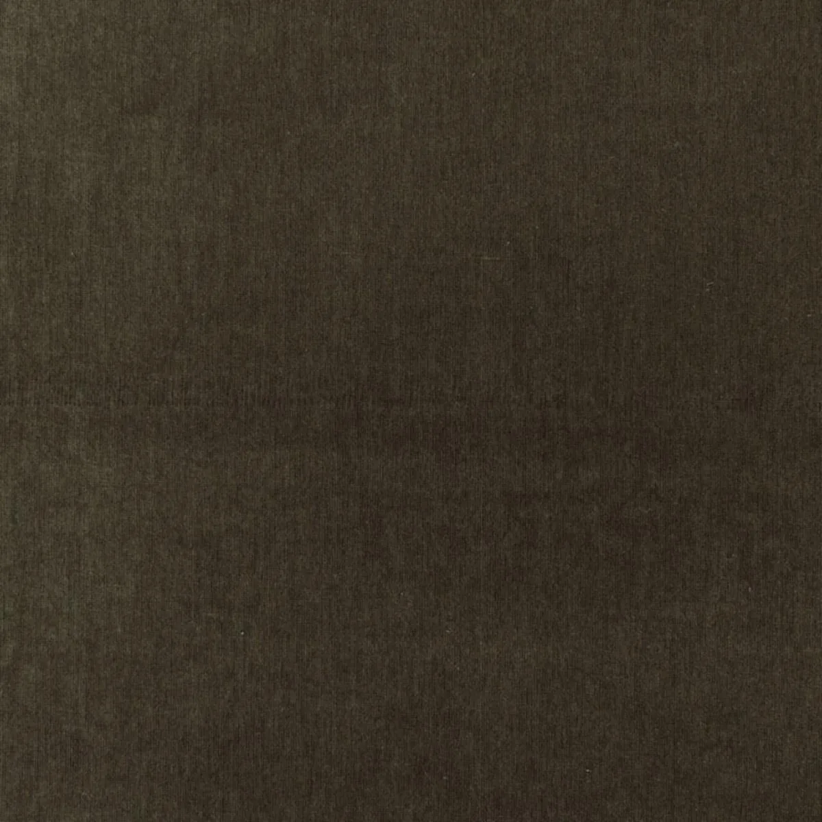 Schumacher 68364 Whistler Velvet Shadow fabric swatch