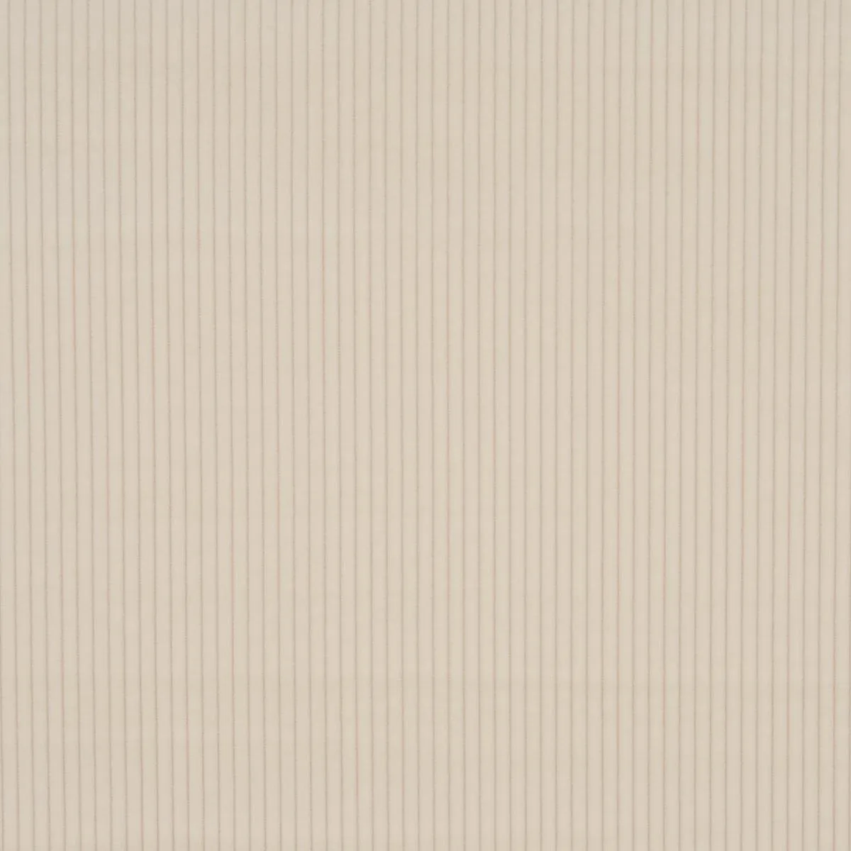 Schumacher 80455 Wyatt Corduroy Buff fabric swatch