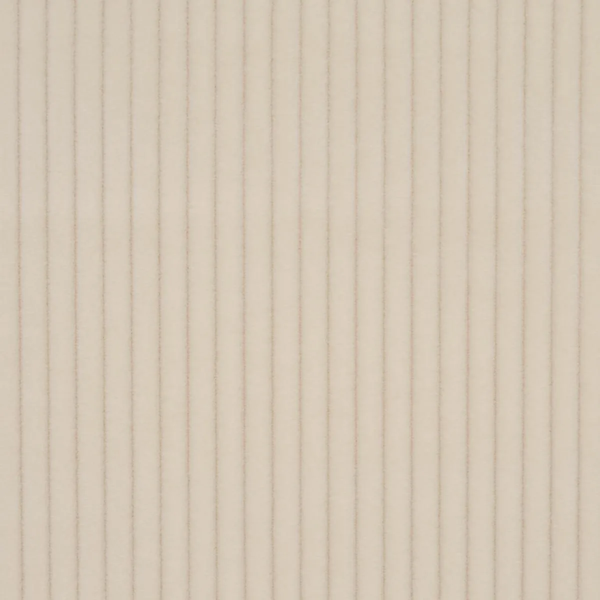 Schumacher 80455 Wyatt Corduroy Buff fabric swatch