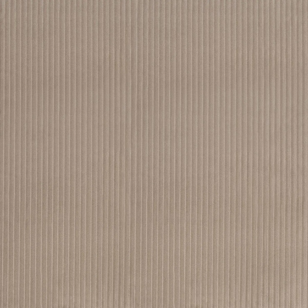 Schumacher 80459 Wyatt Corduroy Sandstone fabric swatch