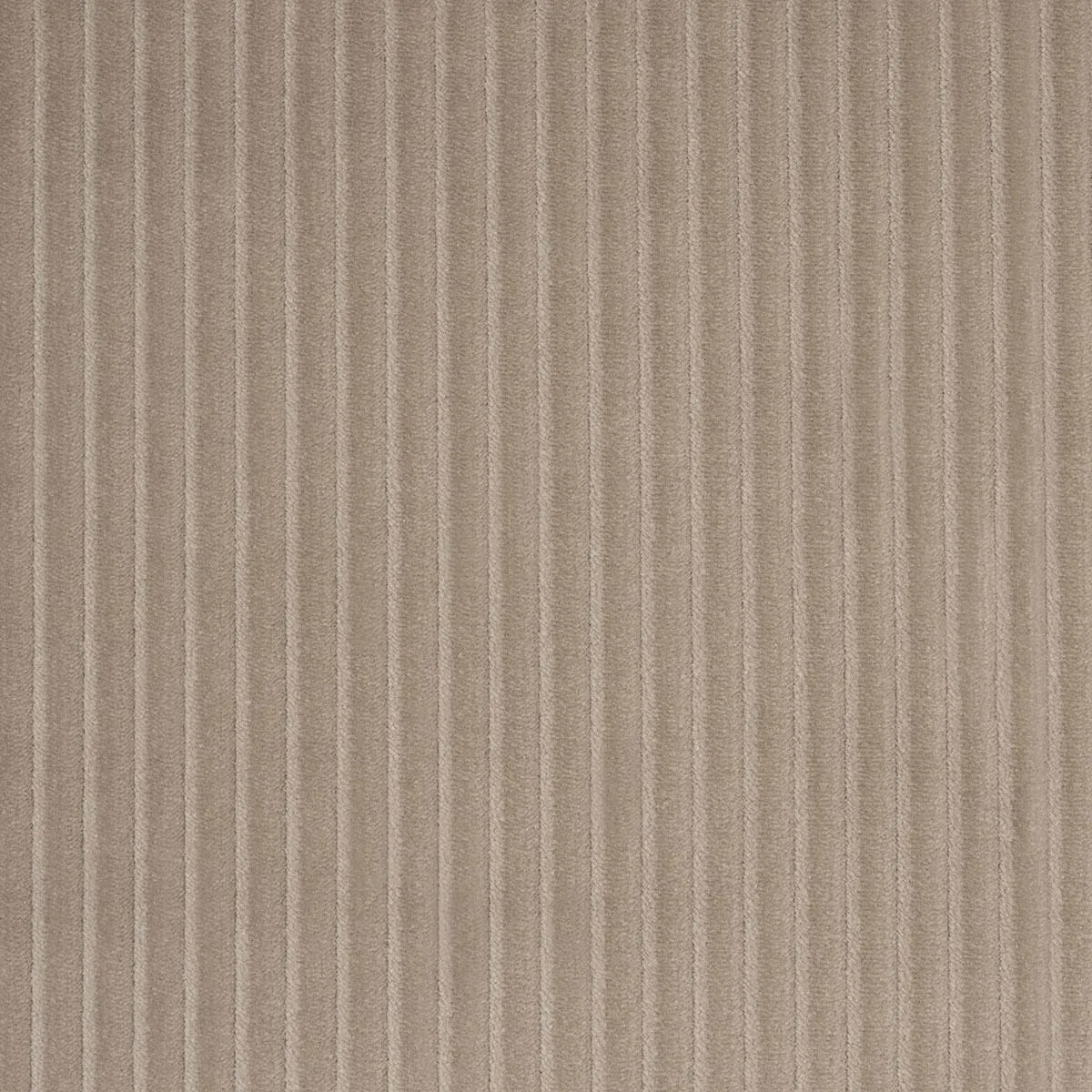 Schumacher 80459 Wyatt Corduroy Sandstone fabric swatch