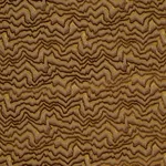 Schumacher 83020 Zambezi Velvet Bronze fabric swatch