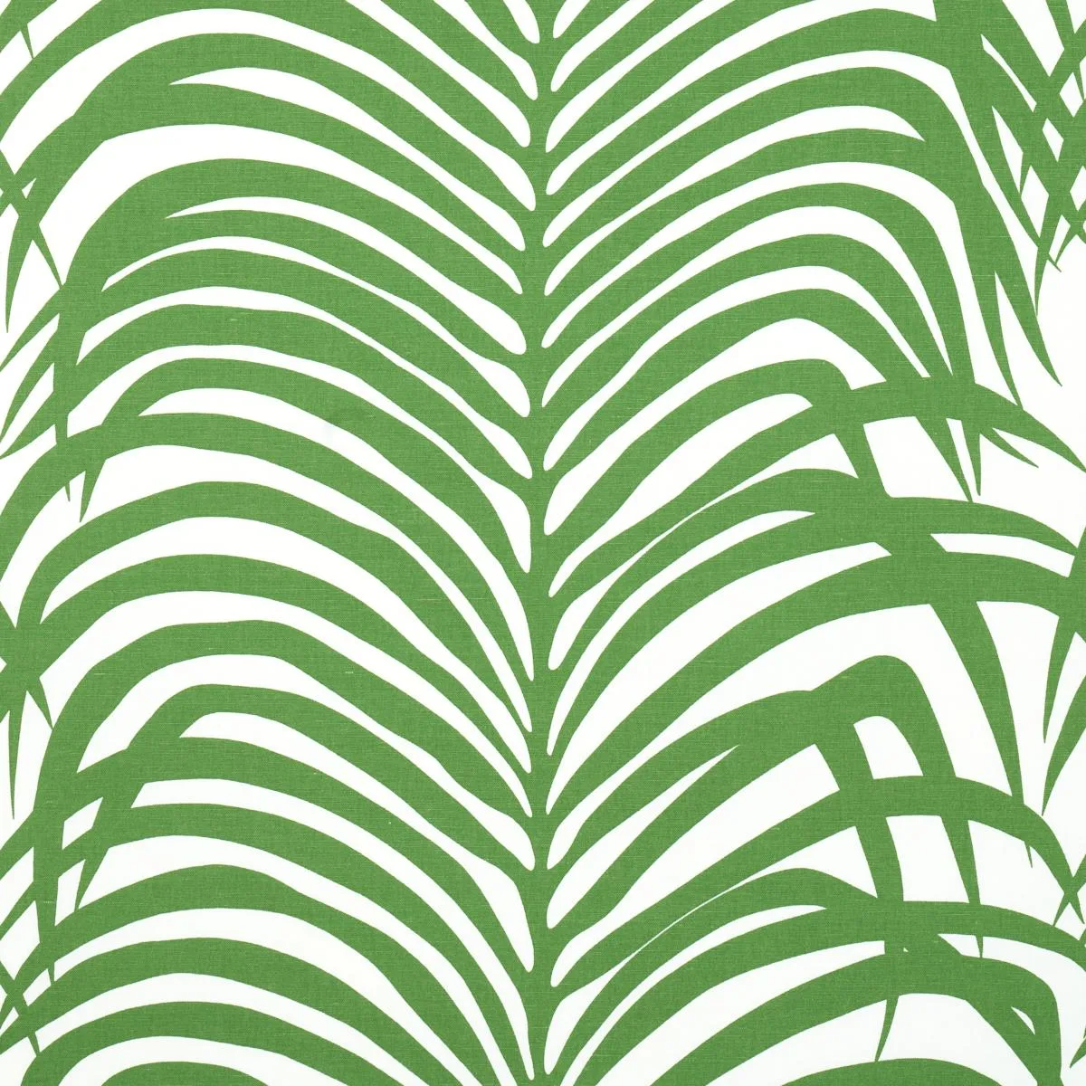 Schumacher 174871 Zebra Palm Jungle fabric swatch