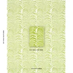 Schumacher 82780 Zebra Palm Woven Indoor/Outdoor Green fabric swatch