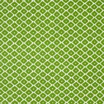 Schumacher 174488 Ziggurat Green fabric swatch