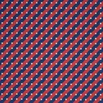 Schumacher 87610 Zilla Stripe Americana fabric swatch