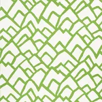 Schumacher 2644335 Zimba Lawn fabric swatch