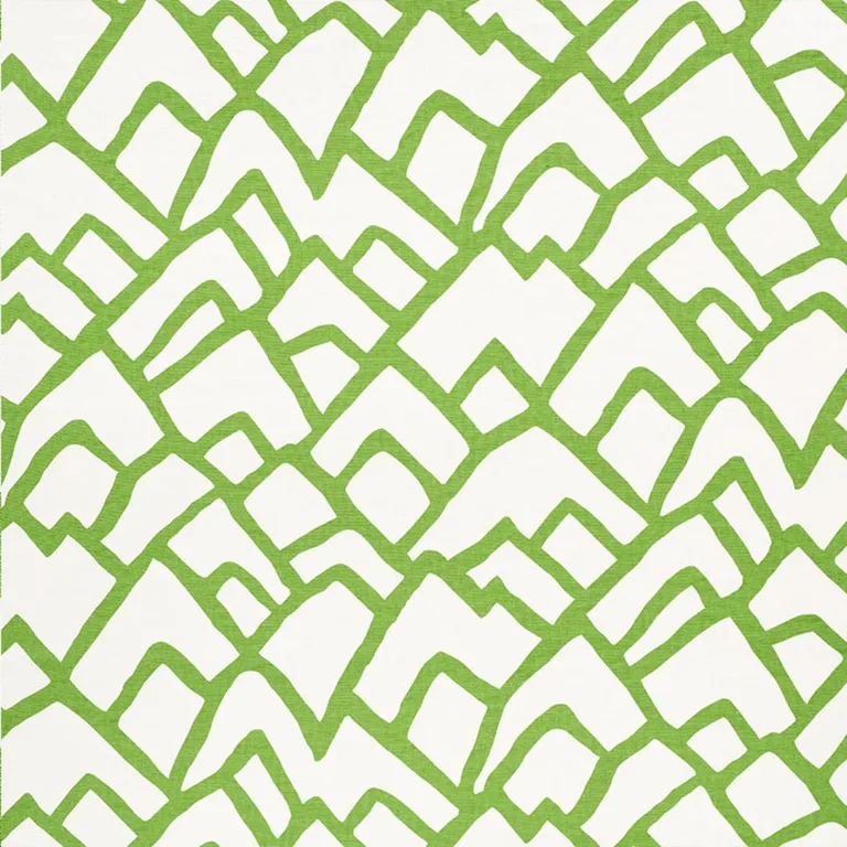 Schumacher 2644335 Zimba Lawn fabric swatch