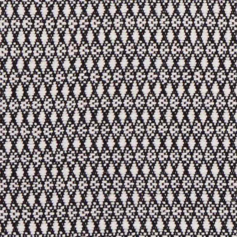 Schumacher 71860 Zoila Black fabric swatch
