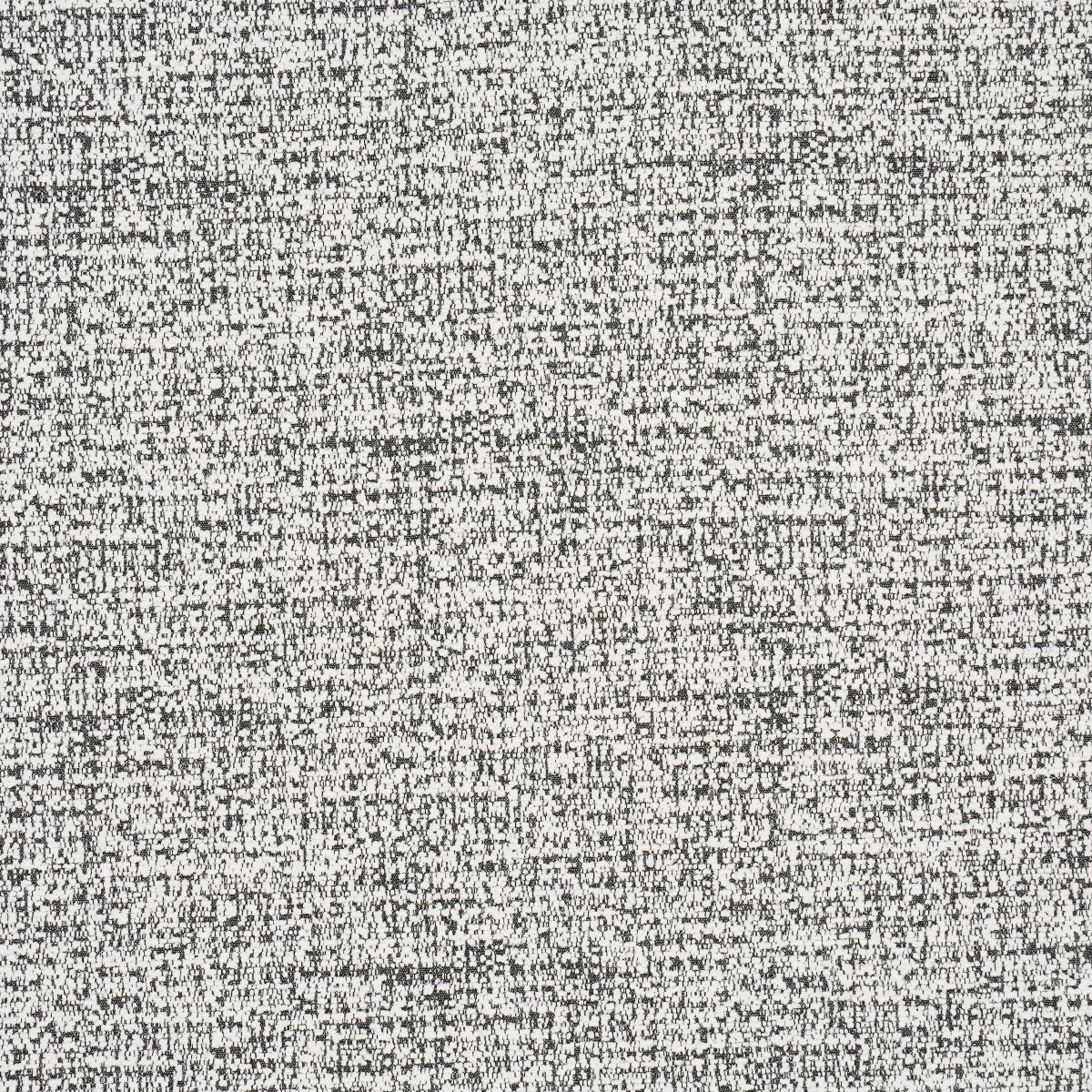 Schumacher 84203 Zuzu Indoor/Outdoor White On Black fabric swatch