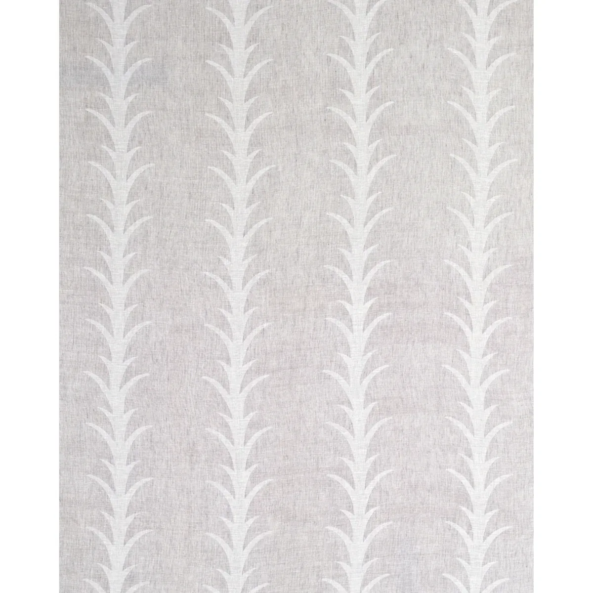 ACANTHUS STRIPE SHEER fabric CARBON color by Schumacher