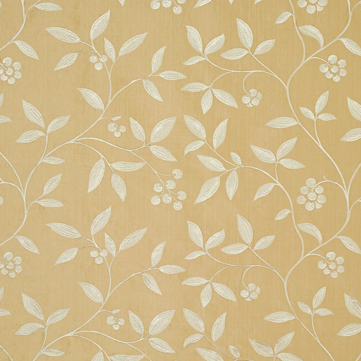 Adelaide Embroidery fabric BLONDE color by Schumacher