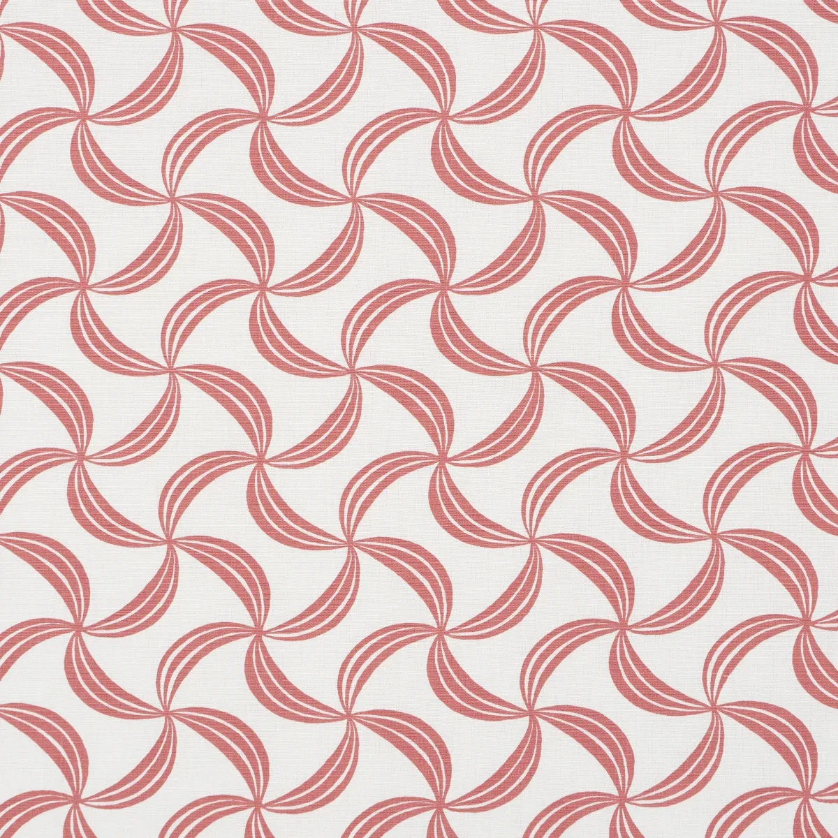 181921 | AMBROSIA – CORAL