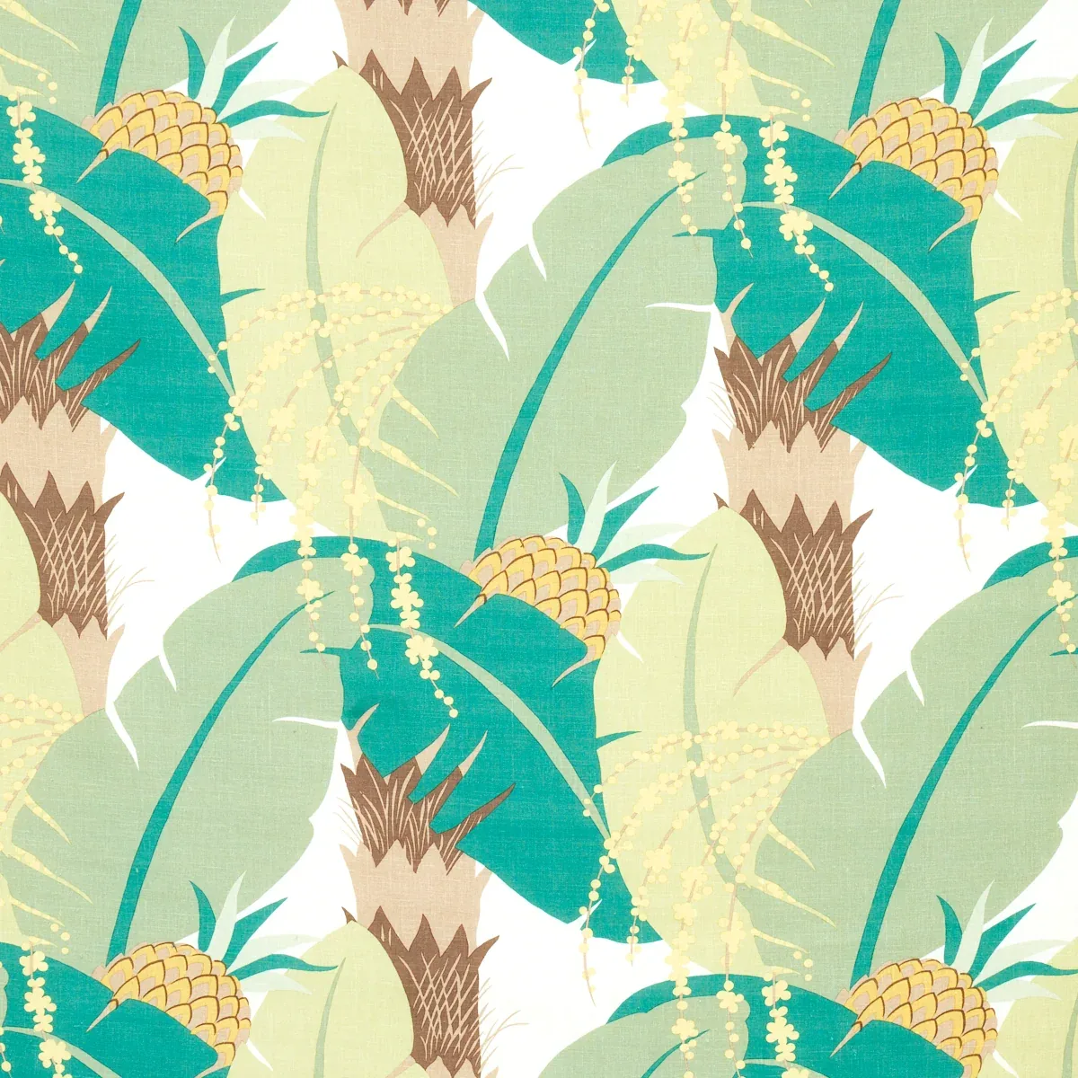 177543 | ANANAS – PALM