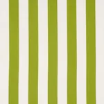 ANDY STRIPE fabric GREEN color by Schumacher