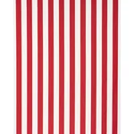 ANDY STRIPE fabric RED color by Schumacher