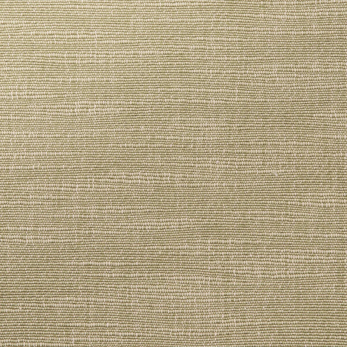 ANNABEL COTTON fabric NEUTRAL color by Schumacher