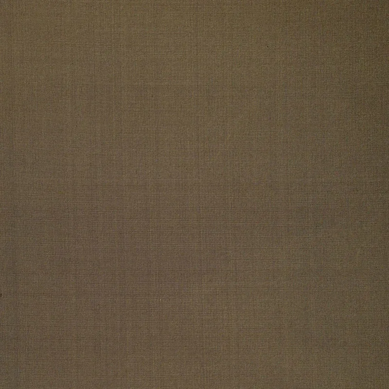 ANNISTON SILK TAFFETA fabric JAVA color by Schumacher