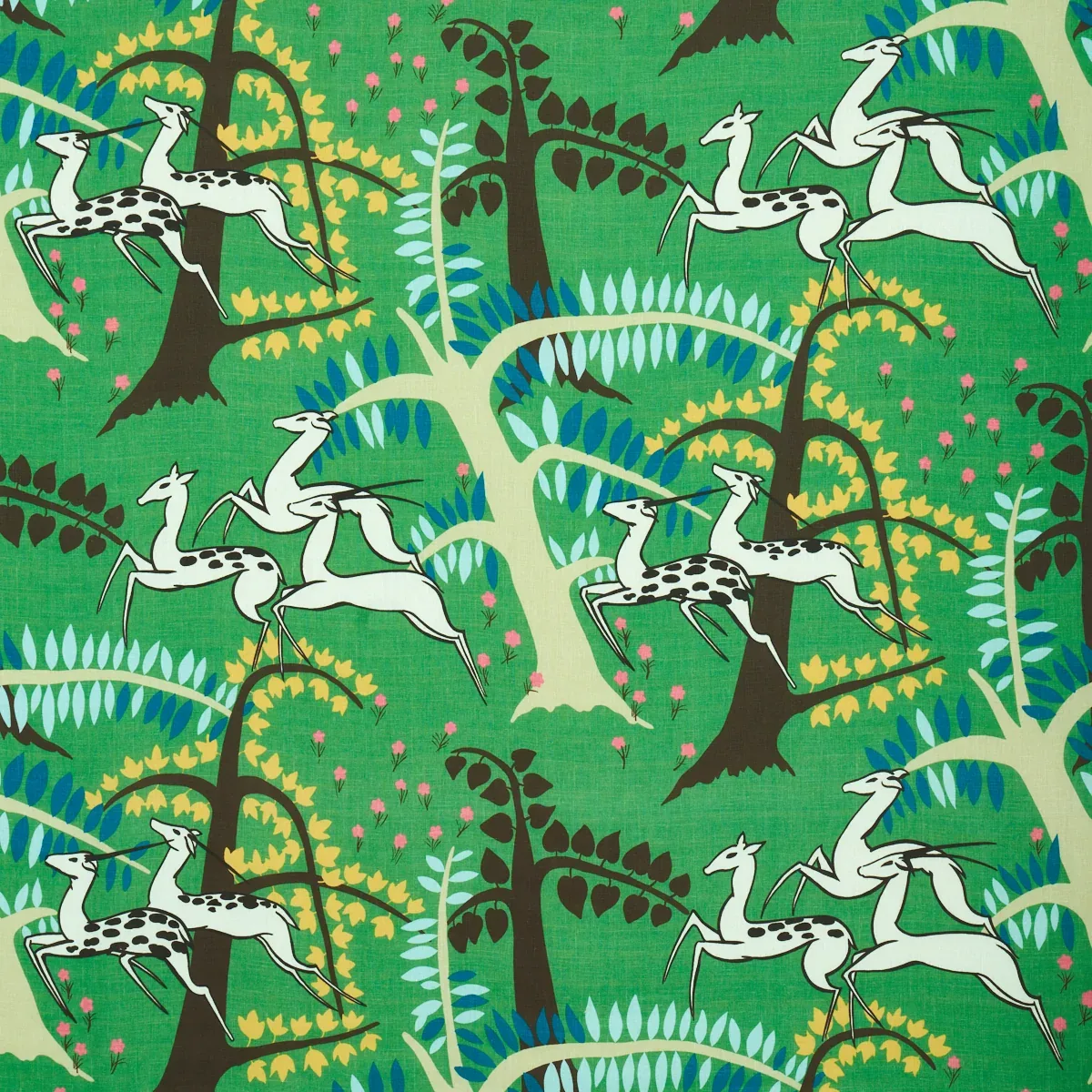 177570 | ANTELOPES – JADE