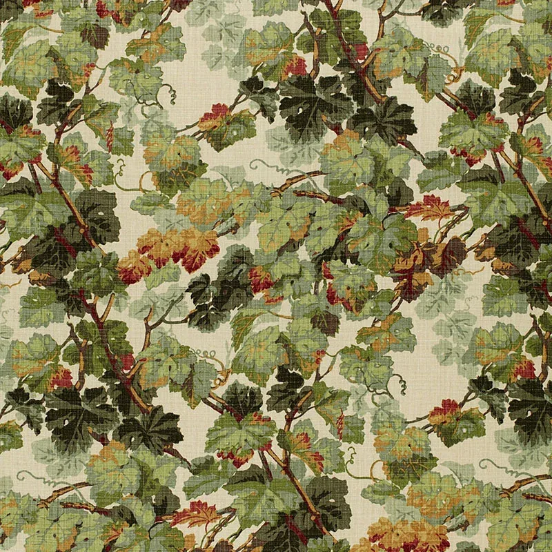 ARBOR VINE fabric DOCUMENT color by Schumacher