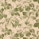 ARBOREAL Fabric – SAGE | Schumacher | Wallpaper Twins ARBOREAL fabric SAGE color by Schumacher