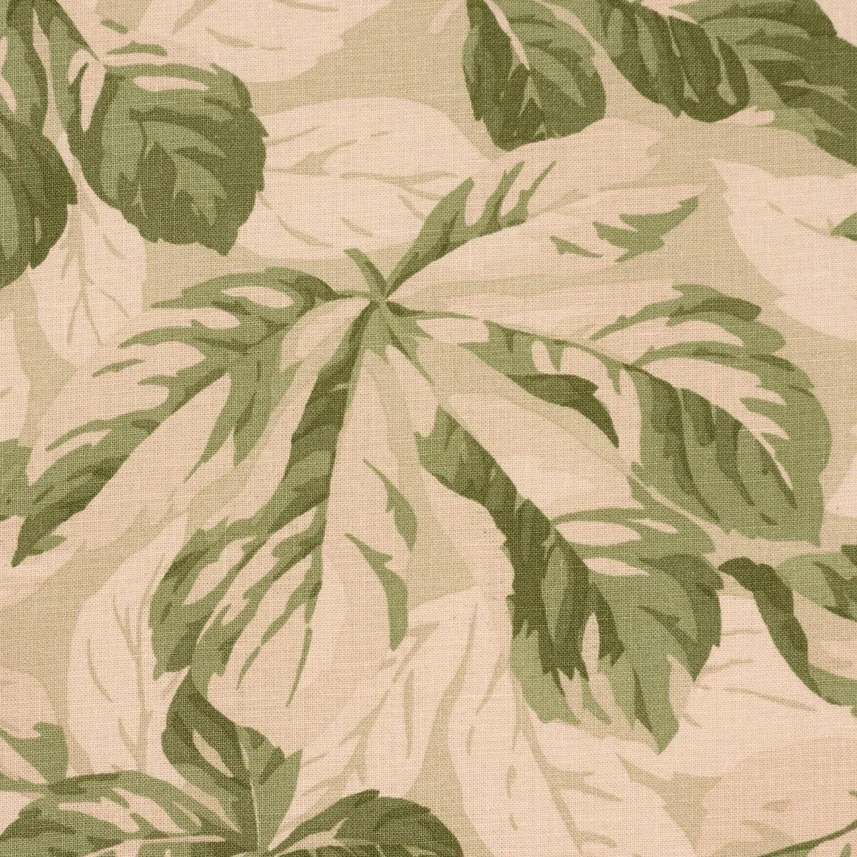 ARBOREAL Fabric – SAGE | Schumacher | Wallpaper Twins ARBOREAL fabric SAGE color by Schumacher
