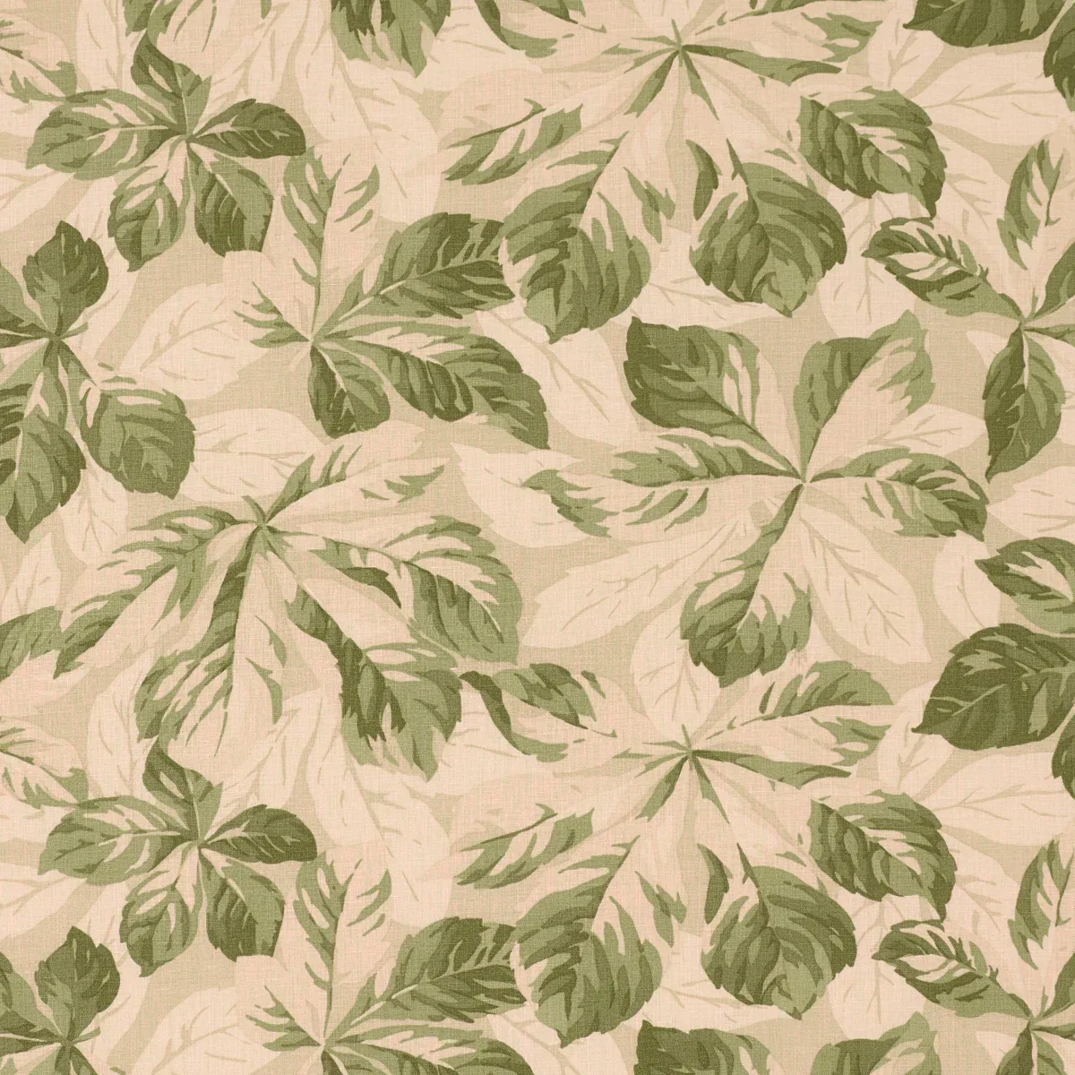 ARBOREAL fabric SAGE color by Schumacher