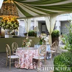 ARBOREAL Fabric – SPICE | Schumacher | Wallpaper Twins ARBOREAL fabric SPICE color by Schumacher