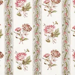 ARIANA FLORAL STRIPE Fabric – FAMILLE ROSE | Schumacher | Wa ARIANA FLORAL STRIPE fabric FAMILLE ROSE color by Schumacher