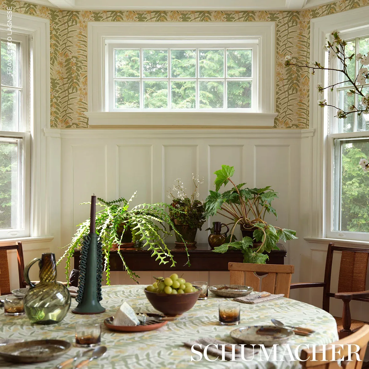 ASHBEE BOTANICAL Fabric – CITRON | Schumacher | Wallpaper Tw ASHBEE BOTANICAL fabric CITRON color by Schumacher