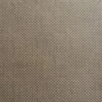 ASHTON fabric FLINT color by Schumacher