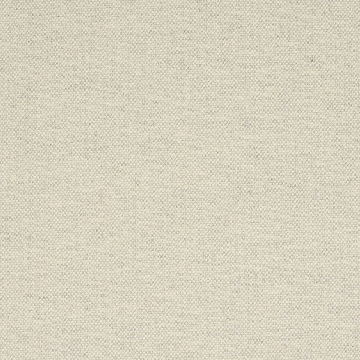 ATTICUS WOOL fabric BIRCH color by Schumacher