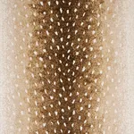 AXIS VELVET fabric FAWN color by Schumacher