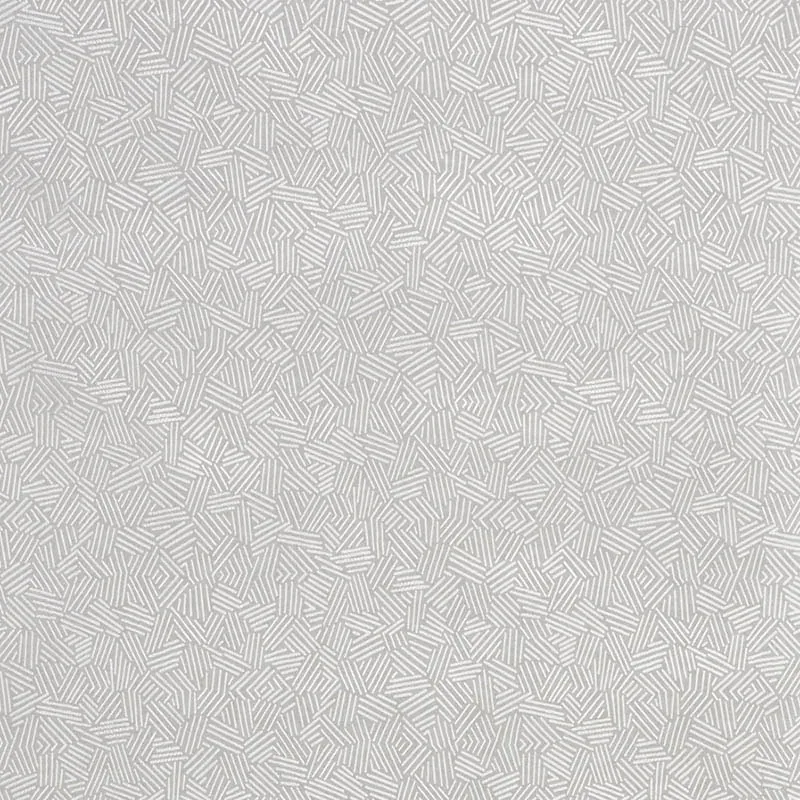 BAKER fabric ZINC color by Schumacher