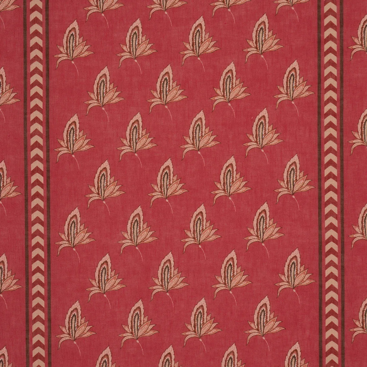 182601 | BANGALORE IMAGINATION – ROUGE
