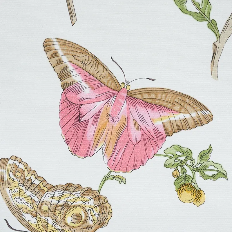 BAUDIN BUTTERFLY CHINTZ Fabric – BLUSH | Schumacher | Wallpa BAUDIN BUTTERFLY CHINTZ fabric BLUSH color by Schumacher