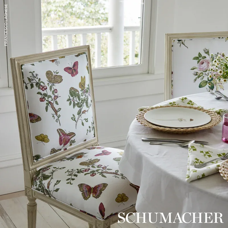 BAUDIN BUTTERFLY CHINTZ Fabric – BLUSH | Schumacher | Wallpa BAUDIN BUTTERFLY CHINTZ fabric BLUSH color by Schumacher