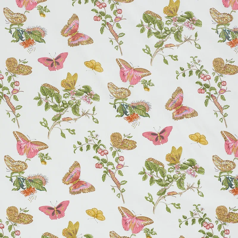 BAUDIN BUTTERFLY CHINTZ fabric BLUSH color by Schumacher