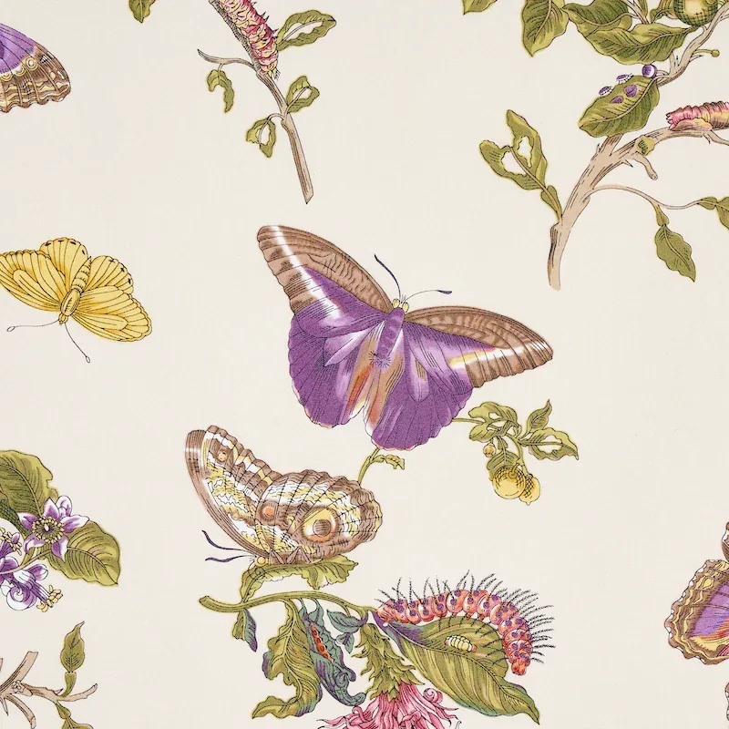 BAUDIN BUTTERFLY CHINTZ Fabric – PURPLE | Schumacher | Wallp BAUDIN BUTTERFLY CHINTZ fabric PURPLE color by Schumacher