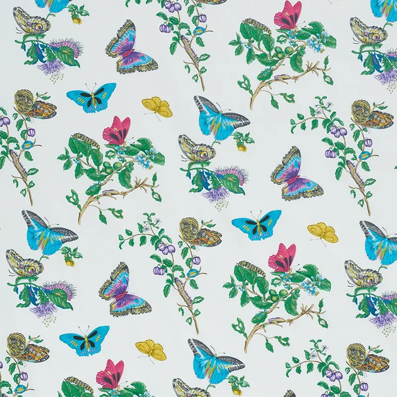 178721 | BAUDIN BUTTERFLY CHINTZ – TURQUOISE