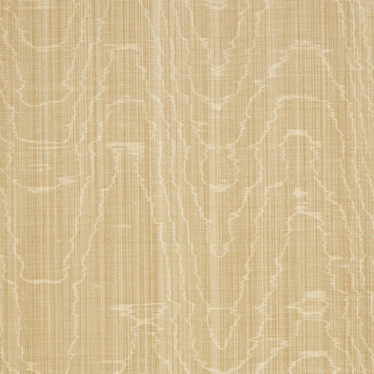 BEAU COTTON LINEN MOIRÉ fabric SOFT GOLD color by Schumacher