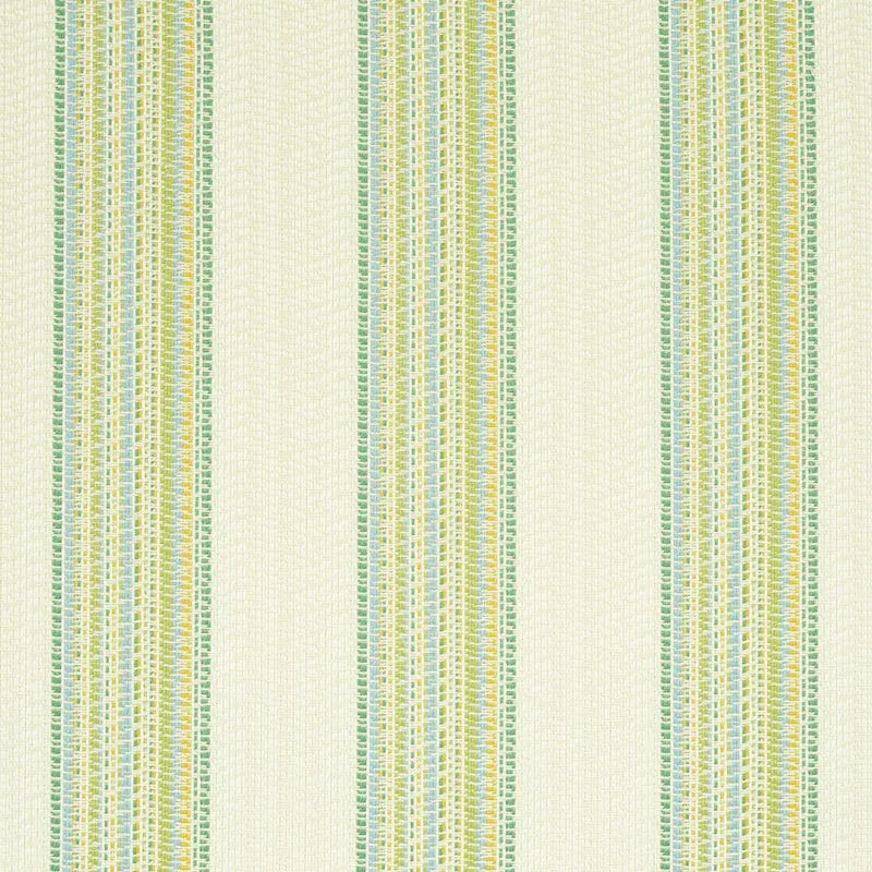 BENDITA STRIPE INDOOR/OUTDOOR fabric LEAF color by Schumacher