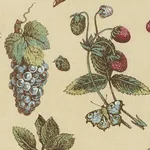 BERRY GROVE Fabric – BUTTER | Schumacher | Wallpaper Twins BERRY GROVE fabric BUTTER color by Schumacher