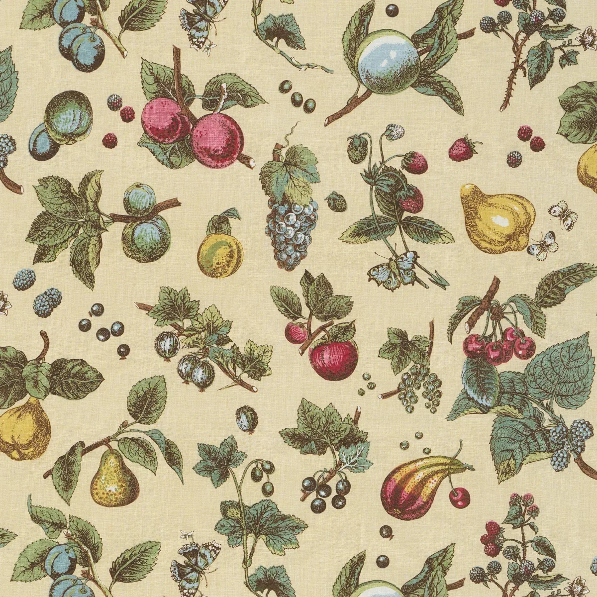 BERRY GROVE fabric BUTTER color by Schumacher