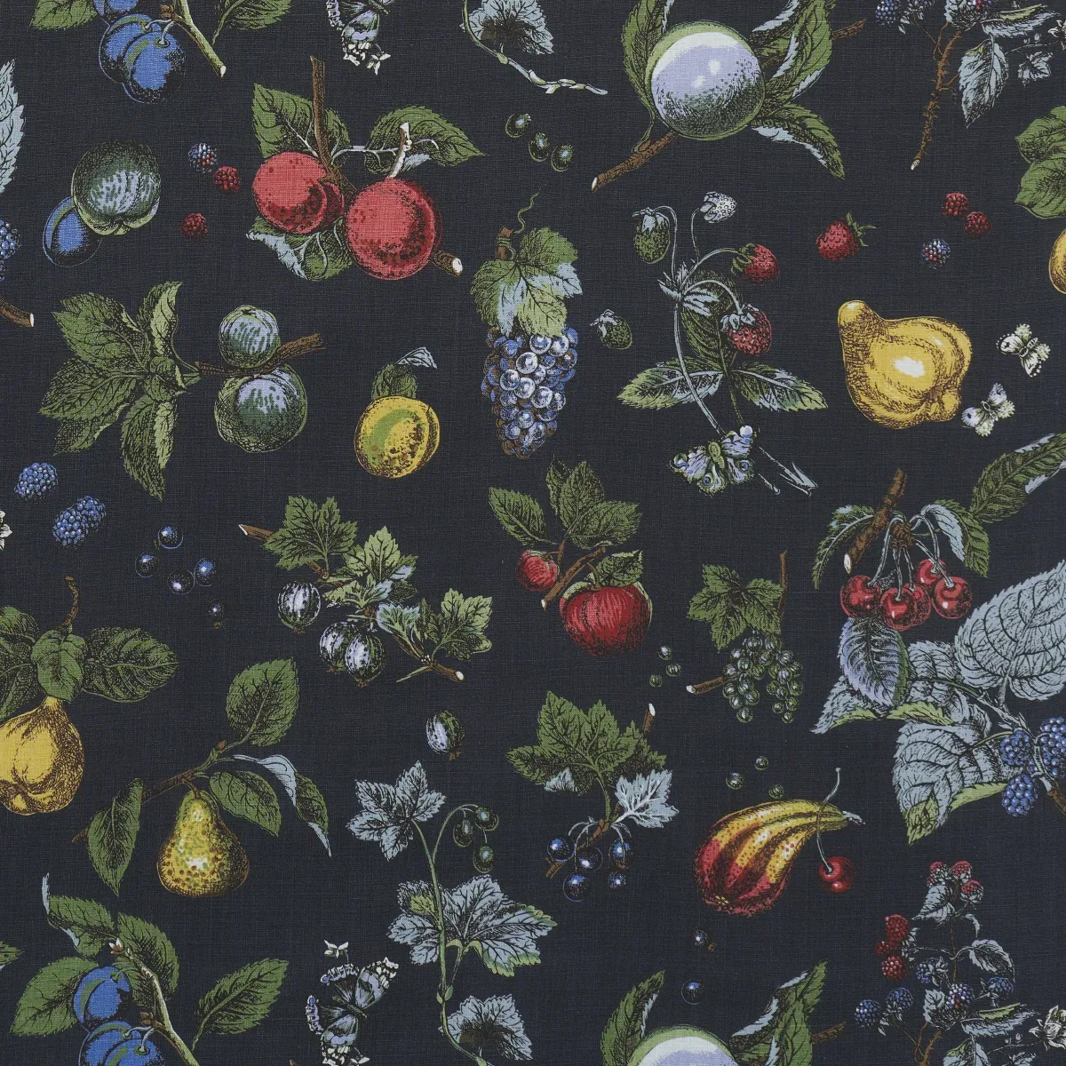 BERRY GROVE fabric NOIR color by Schumacher