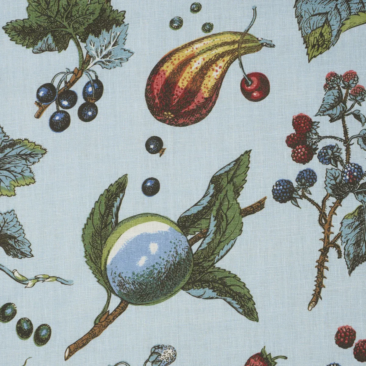 BERRY GROVE fabric SKY color by Schumacher