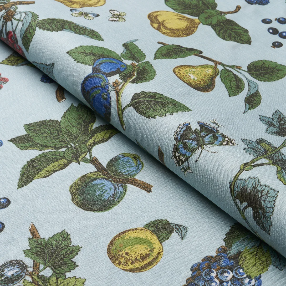 BERRY GROVE fabric SKY color by Schumacher