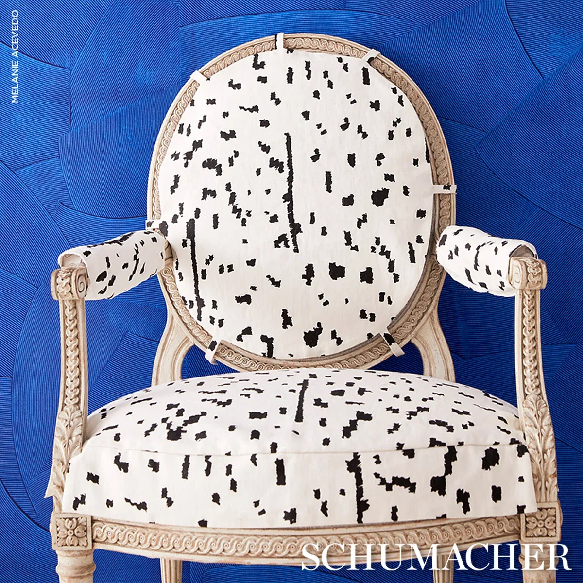 BESPOTTED fabric BLACK color by Schumacher