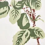 BETTY CHINTZ Fabric – QUIET PINK | Schumacher | Wallpaper Tw BETTY CHINTZ fabric QUIET PINK color by Schumacher