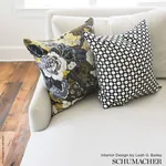 BETWIXT fabric POOL/NATURAL color by Schumacher